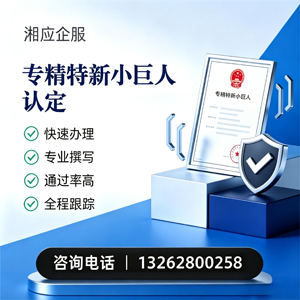 赣州专精特新小巨人申报服务