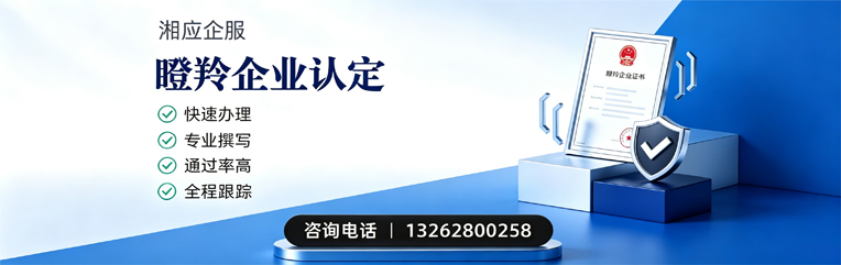 赣州瞪羚企业认定申报服务