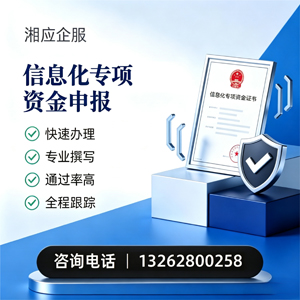 赣州信息化专项资金申报服务