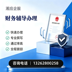 赣州财务辅导申请服务