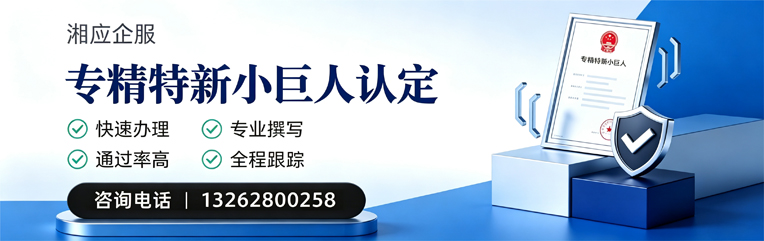 赣州专精特新小巨人申报服务